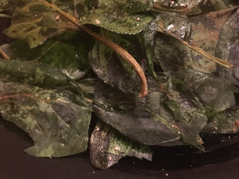 Baked Spinach Chips Healthy Recipe