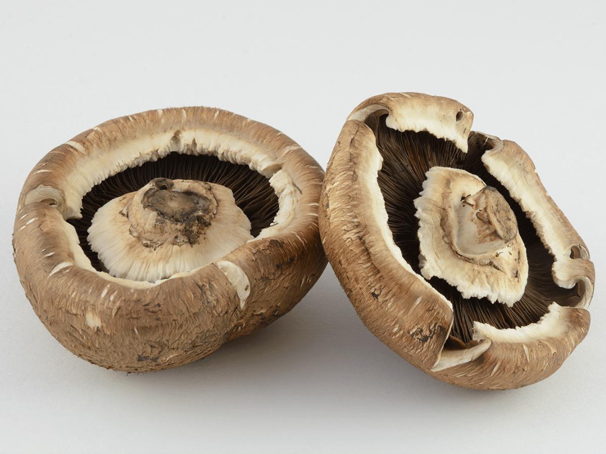 Best Marinated Portobello Mushrooms Healthy Recipe