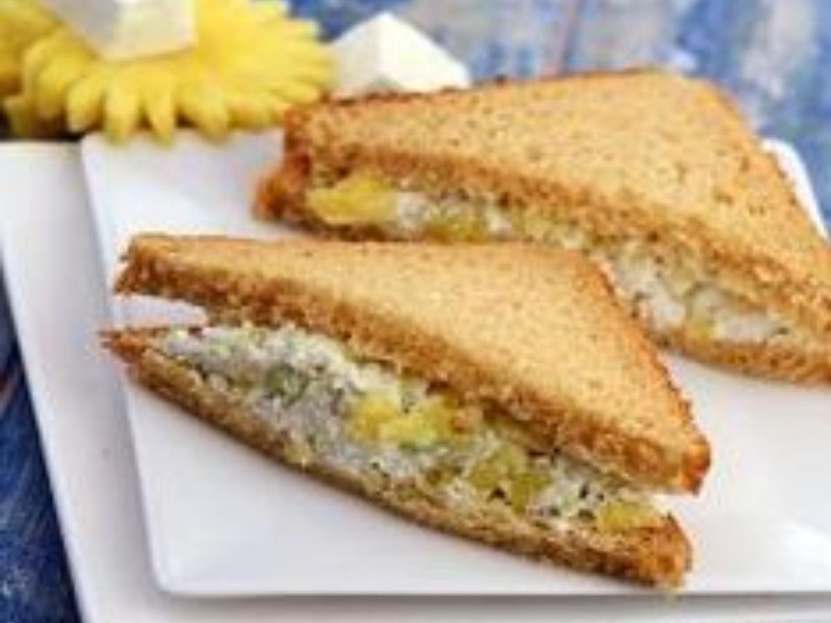 Cottage Cheese and Hummus Sandwich  Healthy Recipe