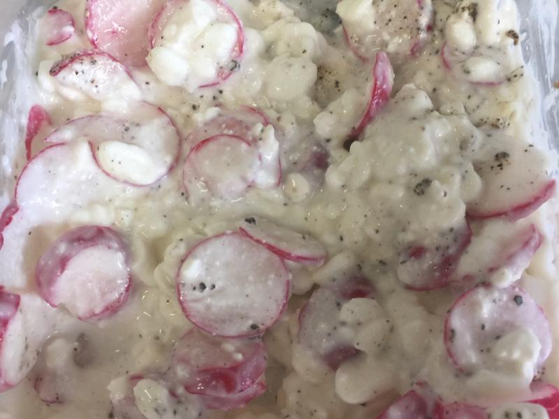 Cottage Cheese with Radishes Healthy Recipe
