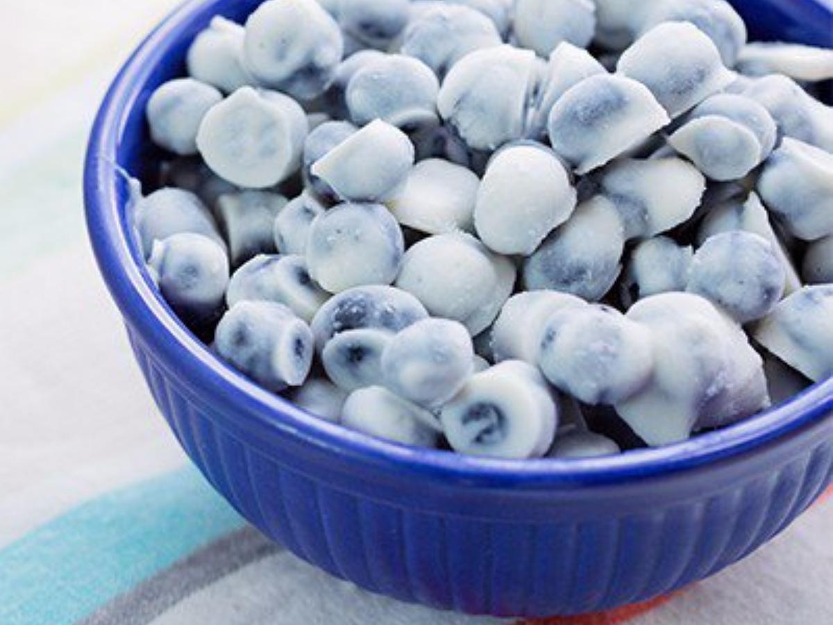 Frozen Yogurt Blueberries  Healthy Recipe