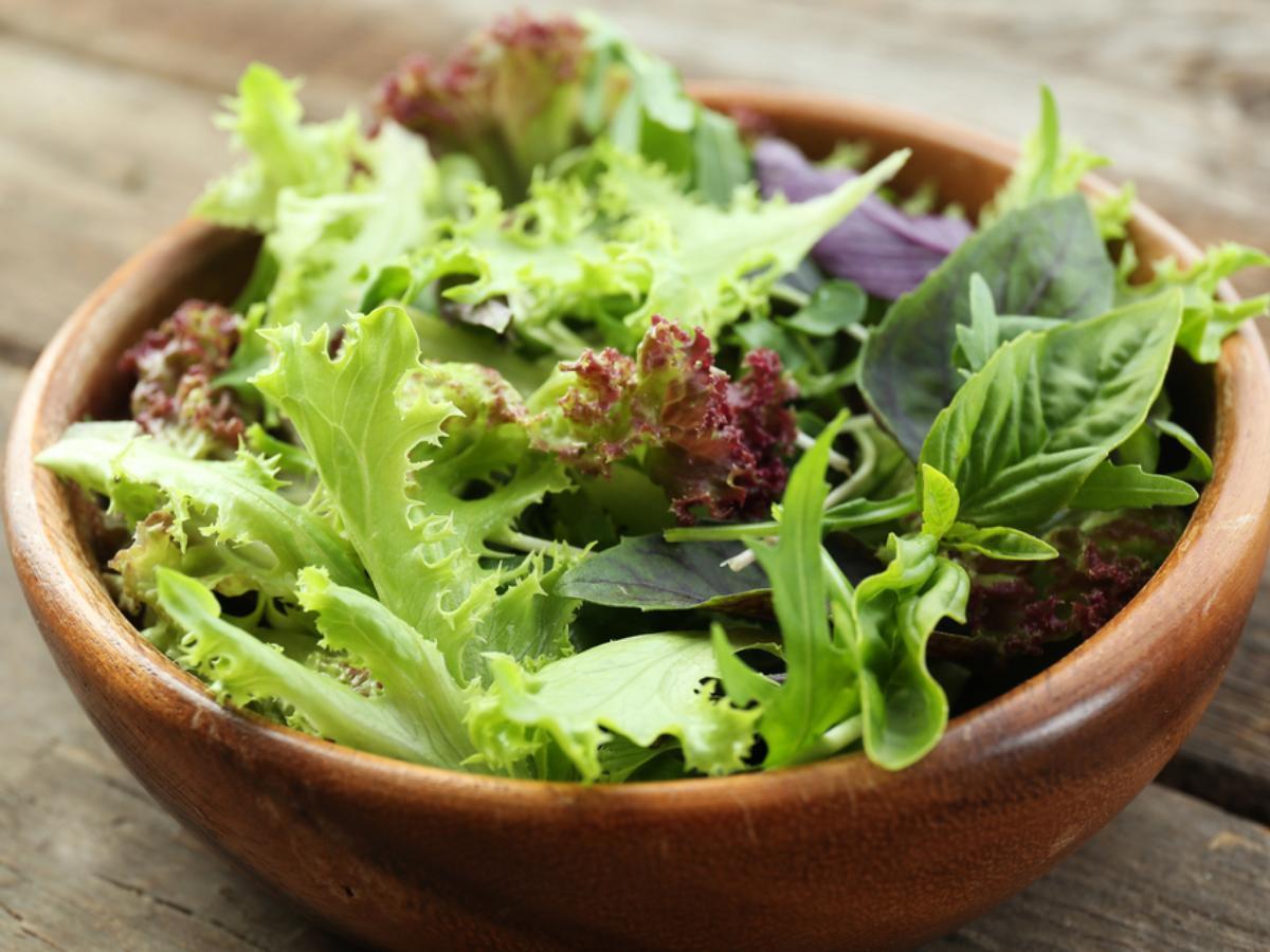 Green salad Healthy Recipe