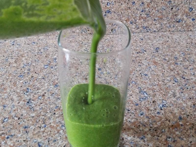 Kale Apple Smoothie Healthy Recipe