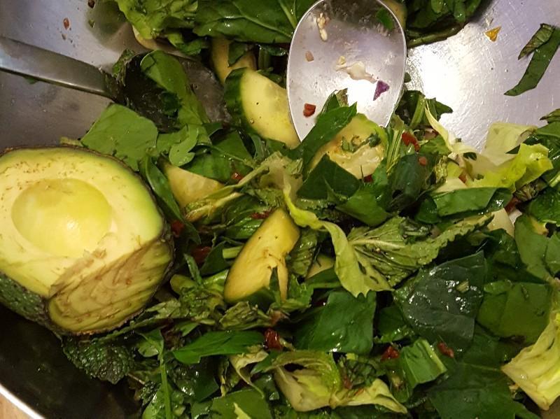 Mixed Greens with Sliced Cucumber and Avocado Healthy Recipe