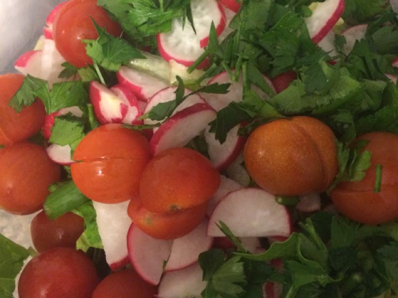 Tomato and Radish Salad Healthy Recipe